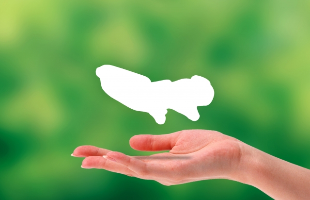 【東京23区】家庭用太陽光発電・蓄電池の補助金制度一覧