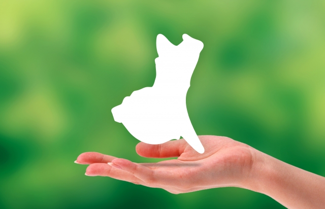 【2025年実施】茨城県の市区町村の家庭用太陽光発電・蓄電池の補助金制度一覧